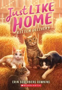 Kitten delivery  Cover Image