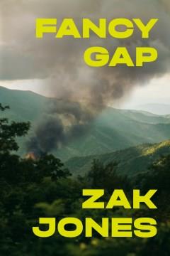 Fancy gap : a novel  Cover Image