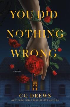 You Did Nothing Wrong : A Novel. Cover Image