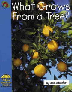 What grows from a tree?  Cover Image