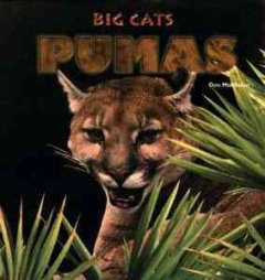 Pumas  Cover Image