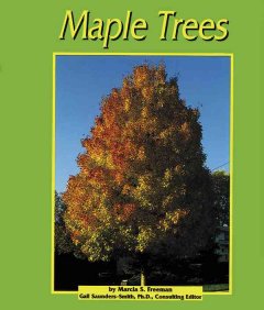 Maple trees  Cover Image