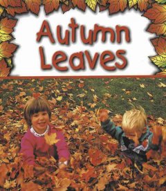 Autumn leaves  Cover Image