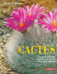 Cactus : the most beautiful species and their care  Cover Image