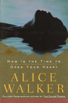 Now is the time to open your heart : a novel  Cover Image