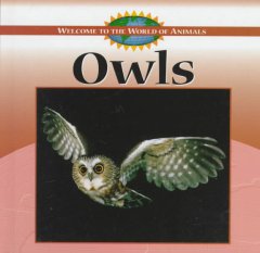 Owls  Cover Image