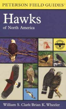 A field guide to hawks, North America  Cover Image