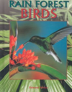 Rain forest birds  Cover Image