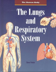 The lungs and respiratory system  Cover Image