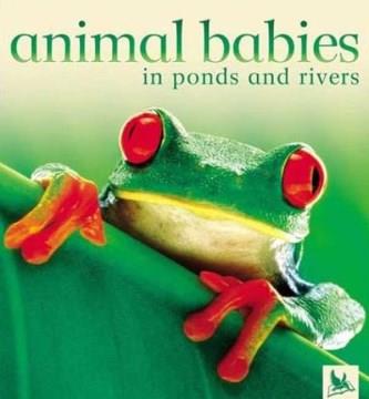 Animal babies in ponds and rivers  Cover Image