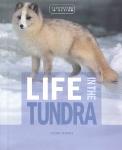 Life in the tundra  Cover Image