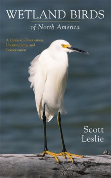 Wetland birds of North America : a guide to observation, understanding and conservation  Cover Image
