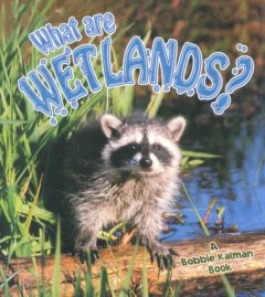 What are wetlands?  Cover Image