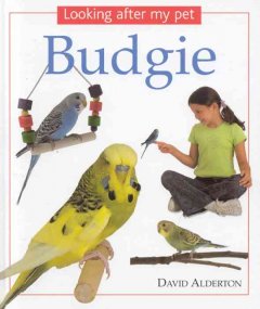 Lookng after my pet budgie  Cover Image