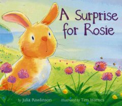 A surprise for Rosie  Cover Image