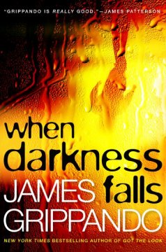 When darkness falls  Cover Image