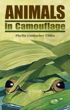 Animals in camouflage  Cover Image