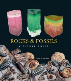 Rocks & fossils : a visual guide  Cover Image