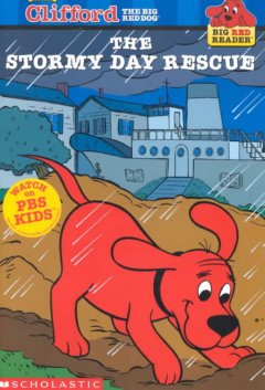 The stormy day rescue  Cover Image