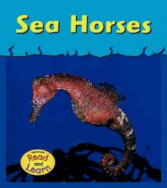 Sea horses  Cover Image