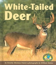White-tailed deer  Cover Image