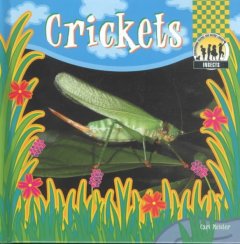 Crickets  Cover Image