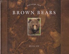 Brown bears  Cover Image