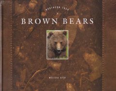 Brown bears  Cover Image