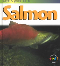 Life cycle of a salmon  Cover Image