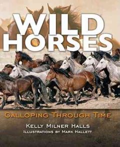 Wild horses : galloping through time  Cover Image