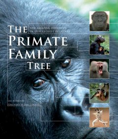 The primate family tree : the amazing diversity of our closest relatives  Cover Image