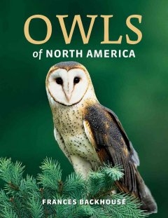 Owls of North America  Cover Image