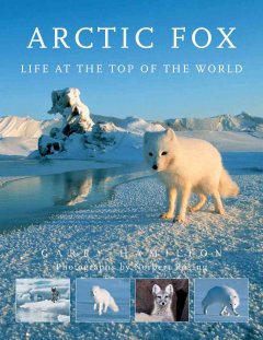 Arctic fox : life at the top of the world  Cover Image