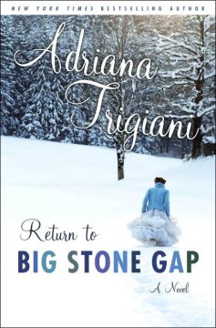 Home to Big Stone Gap : a novel  Cover Image