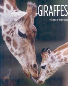 Giraffes  Cover Image