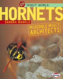 Hornets : incredible insect architects  Cover Image