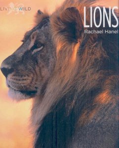 Lions  Cover Image