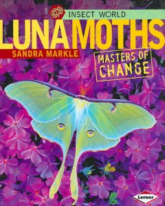 Luna moths : masters of change  Cover Image