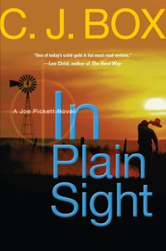 In plain sight  Cover Image