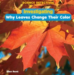 Investigating why leaves change their color  Cover Image