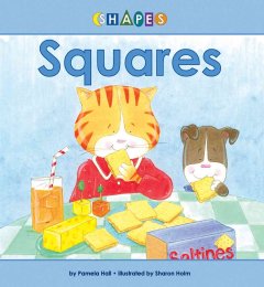 Squares  Cover Image