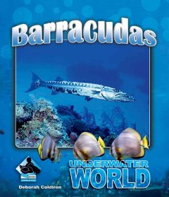 Barracuda  Cover Image