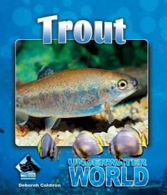 Trout  Cover Image