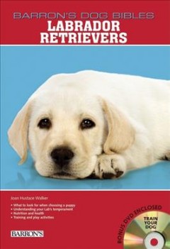 Labrador retriever  Cover Image