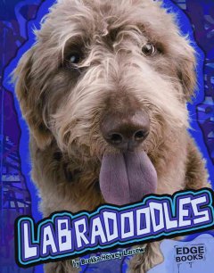 Labradoodles  Cover Image
