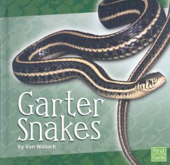 Garter snakes  Cover Image