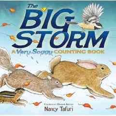 The big storm : a very soggy counting book  Cover Image
