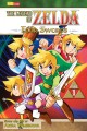 Go to record The legend of Zelda : four swords