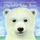 Go to record The last polar bear