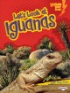 Go to record Let's look at iguanas